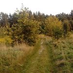 Tydzień na półmetku. A pogoda nadal rozpieszcza białostoczan