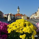 Białystok zmienia się na jesień. Pojawiają się chryzantemy i krzewy