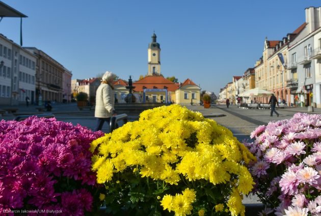 Białystok zmienia się na jesień. Pojawiają się chryzantemy i krzewy