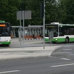 12 listopada – jaki rozkład autobusów i pociągów?