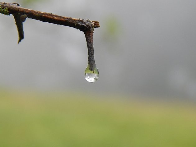 13 listopada z przelotnymi opadami deszczu