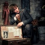 "Fantastyczne zwierzęta: Zbrodnie Grindelwalda". Głośna premiera w kinach [WIDEO]