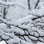 Meteorolodzy ostrzegają przed intensywnym śniegiem