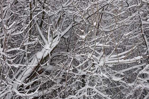 17 grudnia będzie pochmurny. A temperatura spadnie