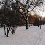 11 stycznia będzie zimno i wietrznie. Wieczorem spodziewane są opady śniegu
