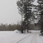 Pogoda na poniedziałek. Przelotne opady deszczu ze śniegiem i spadek ciśnienia