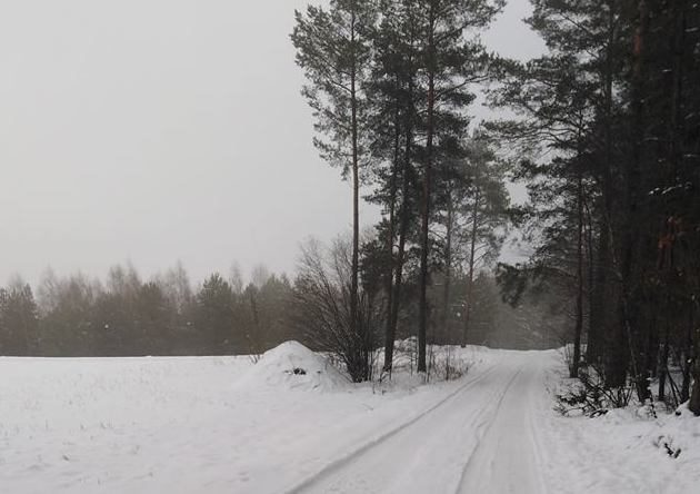 Pogoda na poniedziałek. Przelotne opady deszczu ze śniegiem i spadek ciśnienia