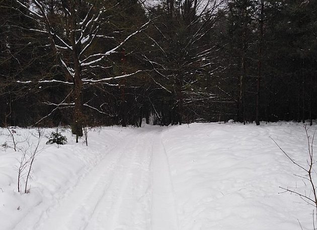 Meteorolodzy ostrzegają. W regionie znowu będą zamiecie i zawieje śnieżne