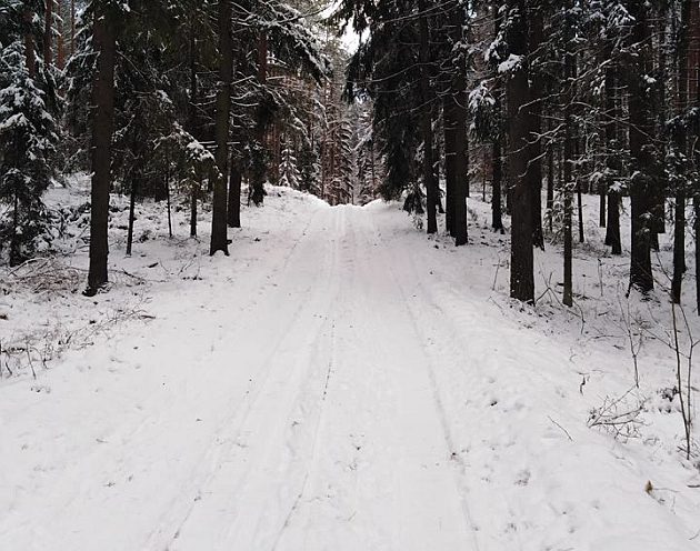 Czwartek z dodatnią temperaturą i przelotnymi opadami deszczu ze śniegiem