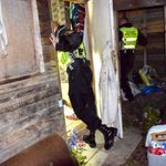 "Zimowy ratownik". Będą dodatkowe patrole