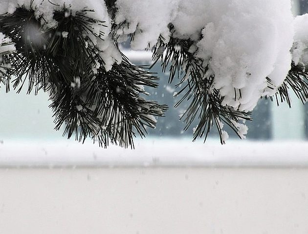 Pogoda na weekend. Będzie zimno, możliwe opady śniegu