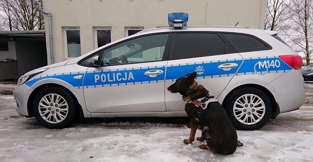 Dzielny "Dym" spisał się na medal. To on wpadł na trop podejrzanych