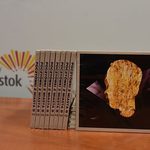"Pocztówki z miasta B.". Muzyczna podróż po Białymstoku
