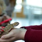 "Marcowe spotkania z nauką" - będą darmowe warsztaty, wykłady, pokazy i wiele atrakcji