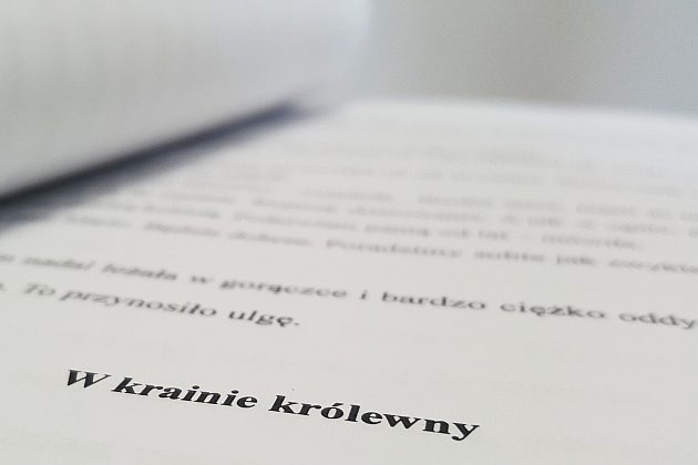 "Królewna na złotym wózku" z nagrodą WOAK-u