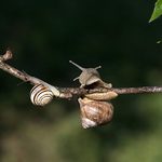 Pogoda na ostatni wtorek marca