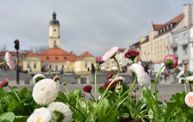 W Białymstoku już wiosennie i kolorowo