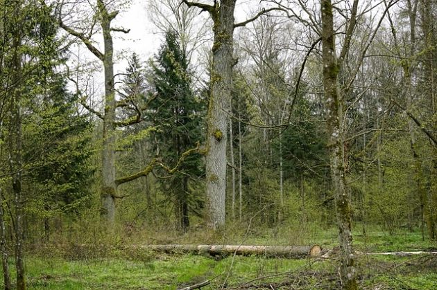 Zielony Kwiecień. Wiosenne wydarzenia za miastem