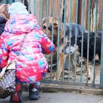 Zbliża się kolejny PSAcer, tym razem 