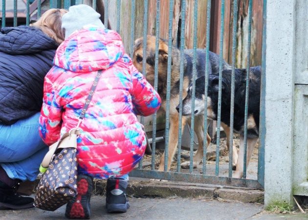 Zbliża się kolejny PSAcer, tym razem "z jajem". Zapisy inaczej niż zazwyczaj