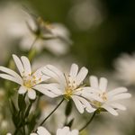 Pogoda na 12 marca. W nocy temperatura spadnie poniżej zera