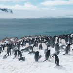 Antarktyka. Opowieści o lodowcach, pingwinach i stacji polarnej