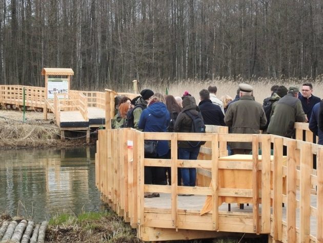 Nowa atrakcja turystyczna. Na Biebrzy otwarto kładkę