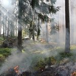Zagrożenie pożarowe. Wystarczy chwila nieostrożności