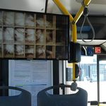 Kampania przeciwko klatkom w białostockich autobusach
