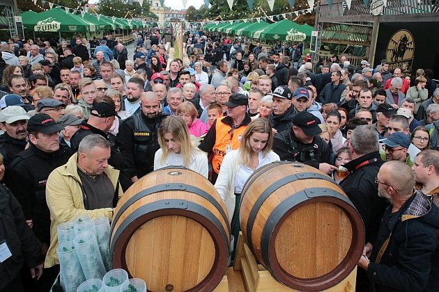 Kolejne urodziny Żubra. Białystok będzie świętował