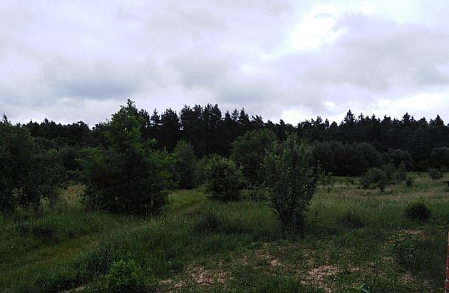 Gorąca środa w mieście