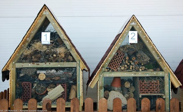 W Białymstoku powstaną domki dla owadów