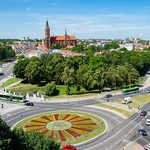 Będzie kolorowo i pachnąco. Białystok zmienia kwiatową szatę