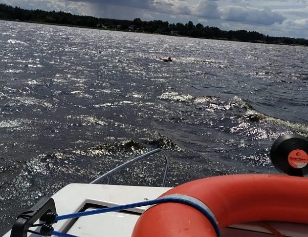 Wypadek na wzburzonym akwenie wodnym. Mężczyzna spadł z deski