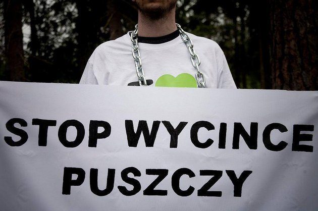UNESCO jednoznacznie za ochroną Puszczy Białowieskiej