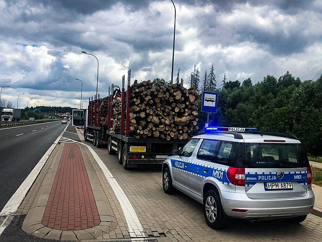 Przewoził źle zabezpieczone drzewo. Na sumieniu miał coś jeszcze