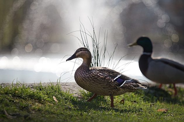 Pogoda na poniedziałek. Pojawią się przejaśnienia