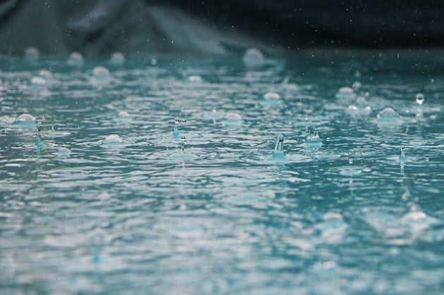 Tydzień na półmetku. Spodziewane są opady deszczu