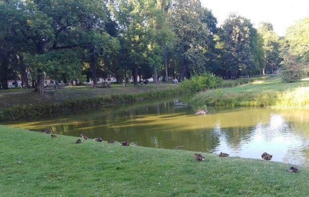 W poniedziałek ciepło, ale pochmurno