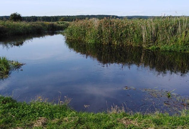 Pogodny dzień w stolicy Podlasia