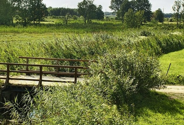 Pogoda na 26 sierpnia. Zapowiada się gorący poniedziałek