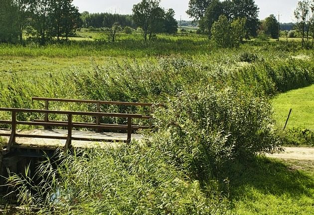 Pogoda na 26 sierpnia. Zapowiada się gorący poniedziałek 