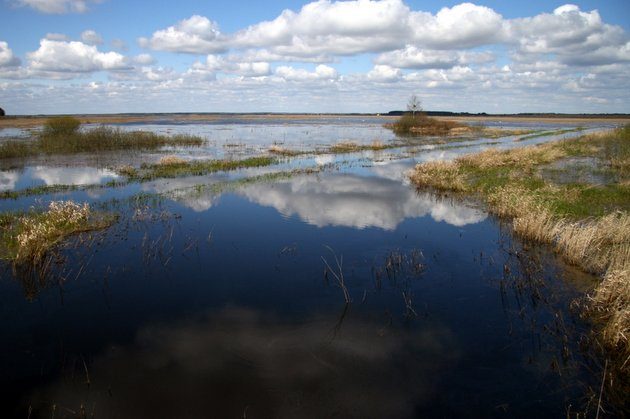 Koniec wakacyjnych kursów do Siemianówki