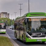 Nowe hybrydy na białostockich ulicach