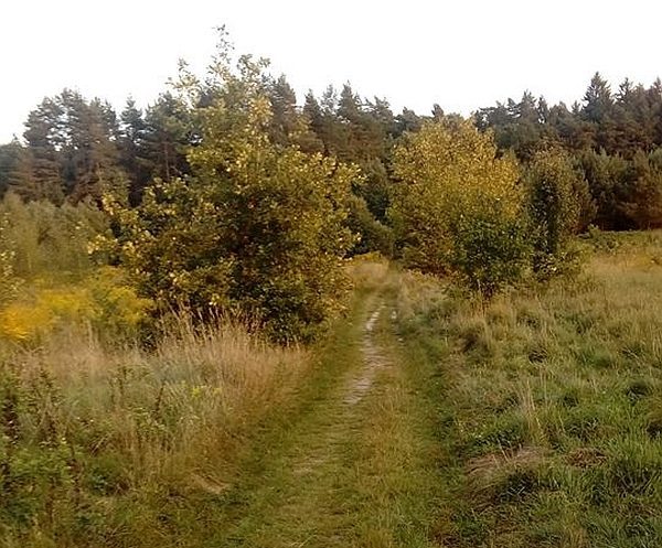 Pogoda na weekend. Trochę chmur, trochę słońca