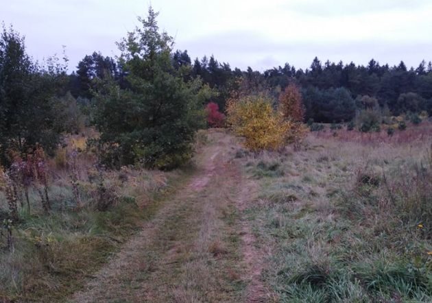 Zbliża się weekend. Ile stopni zanotują termometry 4 października?