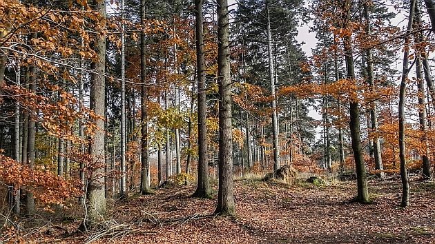 Pogoda na pierwszy weekend października