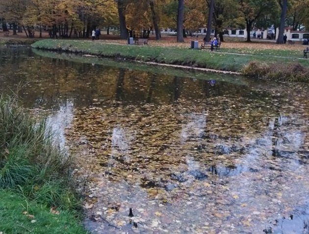Powrót lata jesienią? 14 października z wysoką temperaturą