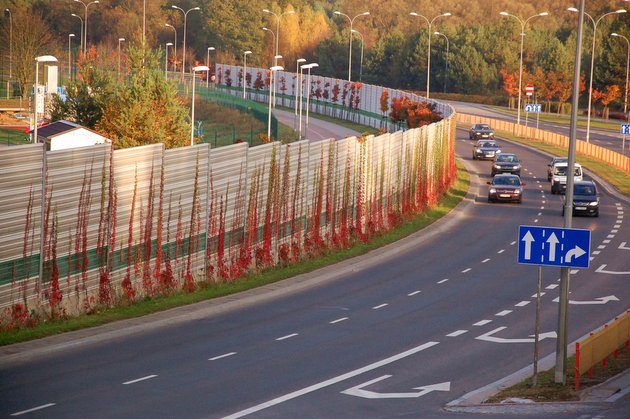 Ekoekrany akustyczne. Miasto obsadzi je roślinami