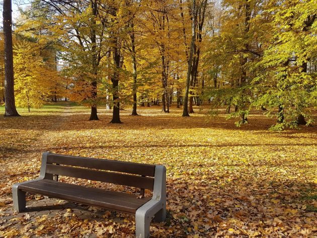 Przed nami pogodny weekend. Temperatura rozgrzeje 